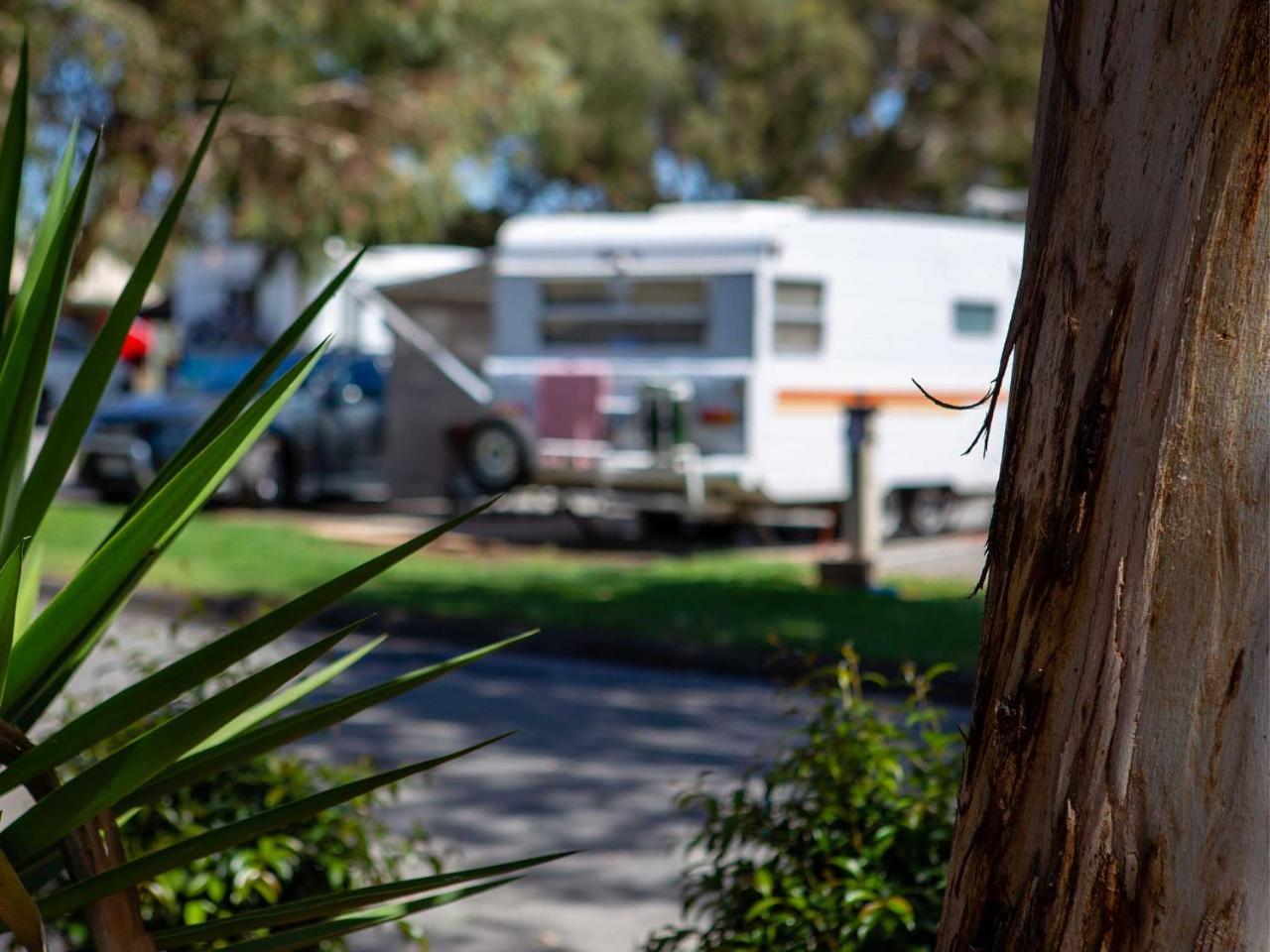 Echo Holiday Parks - Windsor Gardens Adelaide Exterior foto